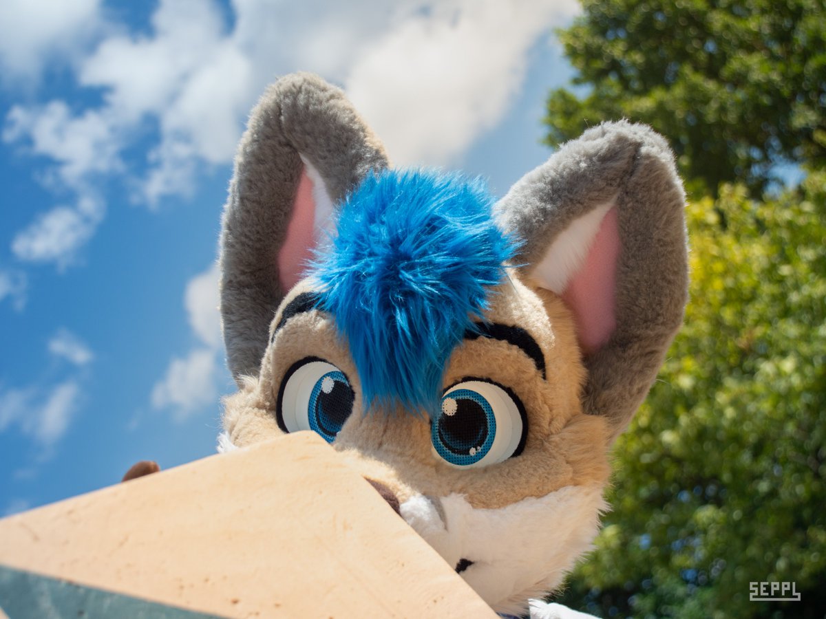 Curious but shy 👀

📸<a href="/GepardSeppl/">Seppl</a>