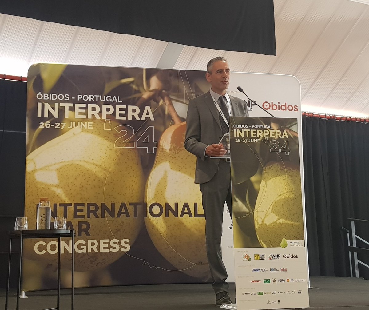 Interpera tweet media