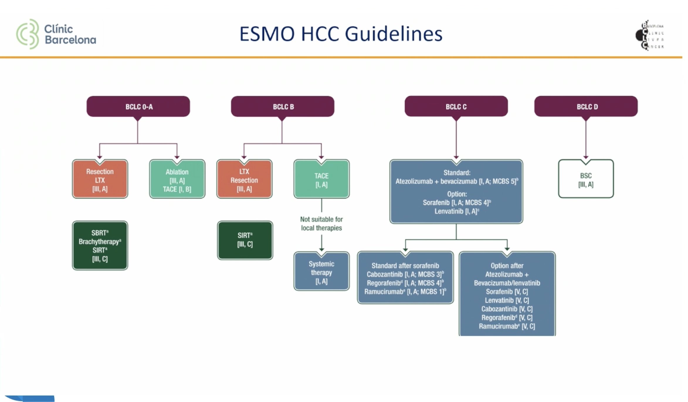 ESMOGI24