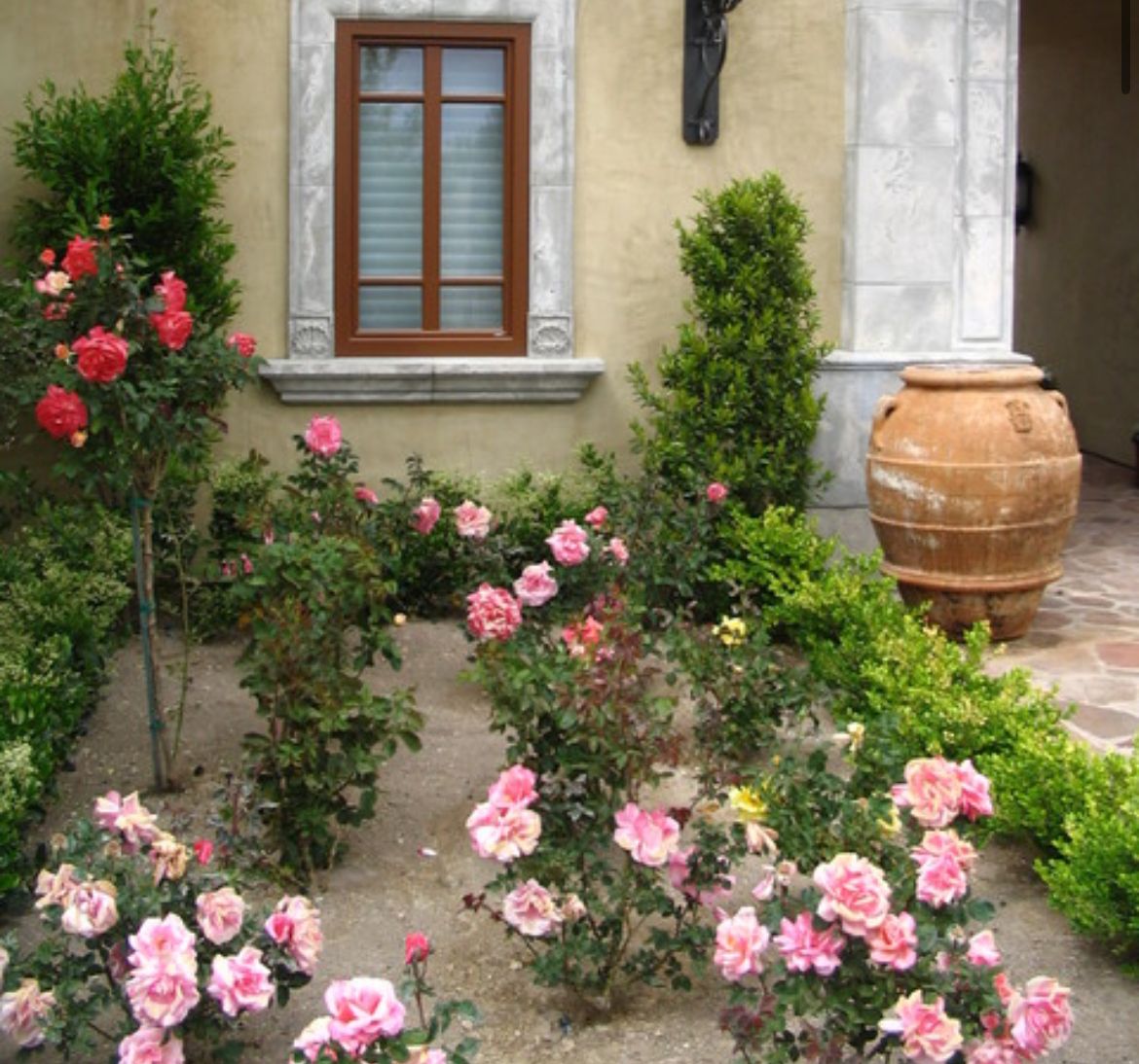 With June coming to an end, are you ready to conquer any gardening task July might hold? Here is an easy guide to be prepared for almost anything! 

#July #Texas #Gardening #Prepared

buff.ly/4bgozAo