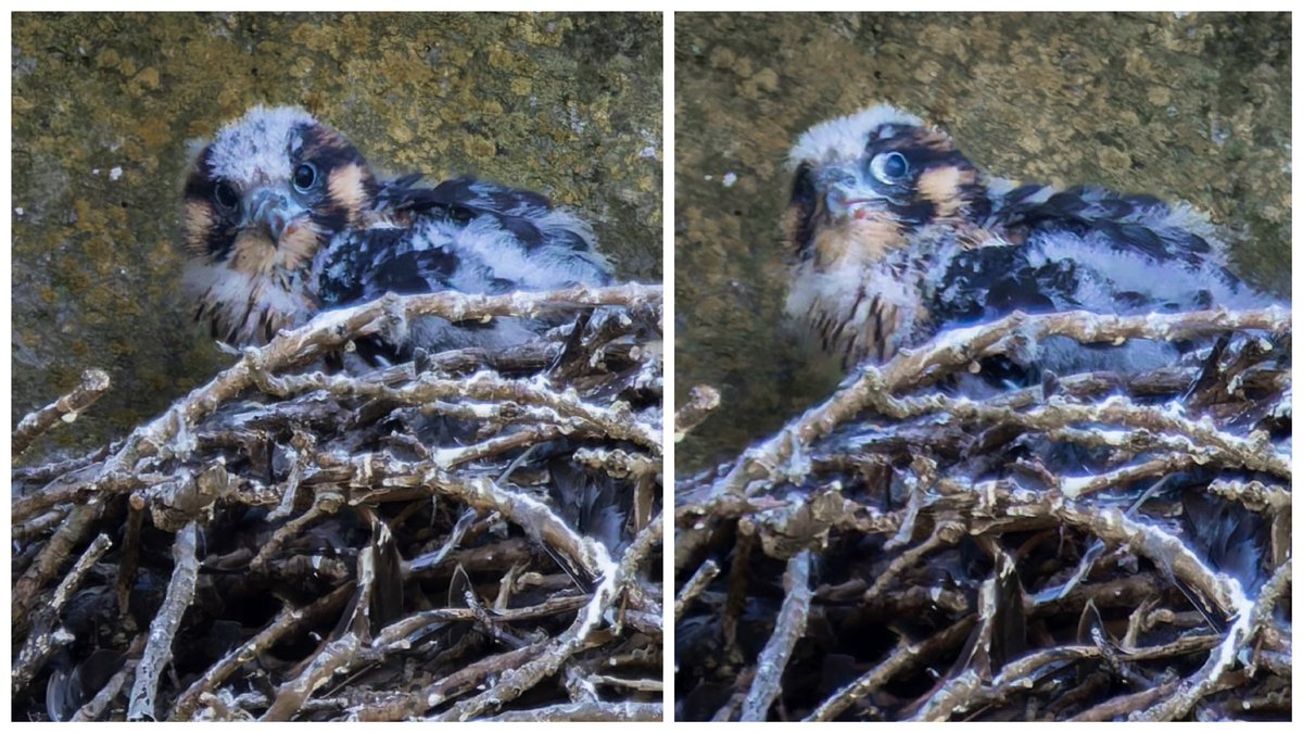 Mike Jennings tweet media