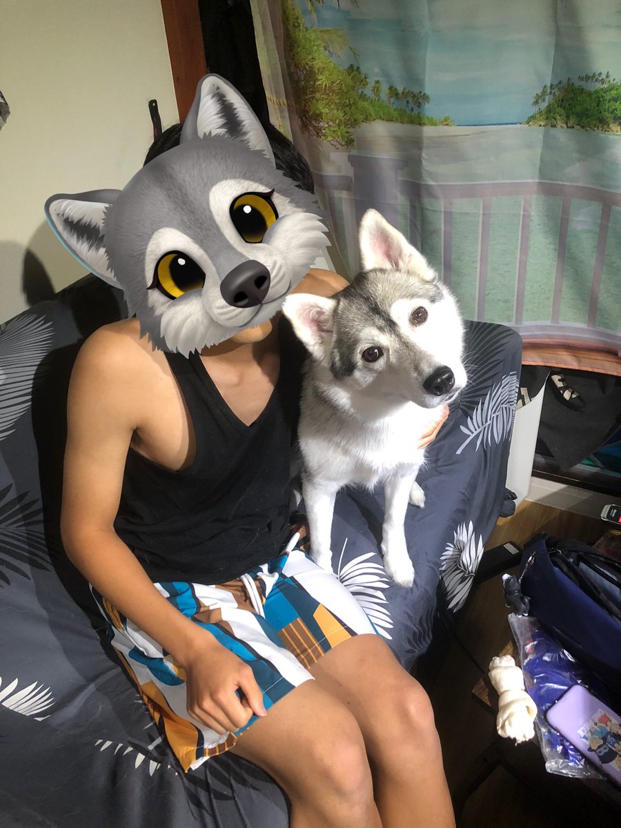 RayT87737327's tweet photo. 弟と写真撮ると何故か首傾げるレイちゃん🐕
恐らく、「はい、チーズ」の"チーズ"に反応してるんだろうけど笑
私と撮ると不細工なのに、弟と撮ると可愛い顔するのもなんでや😂 https://t.co/BUMdmNap8S