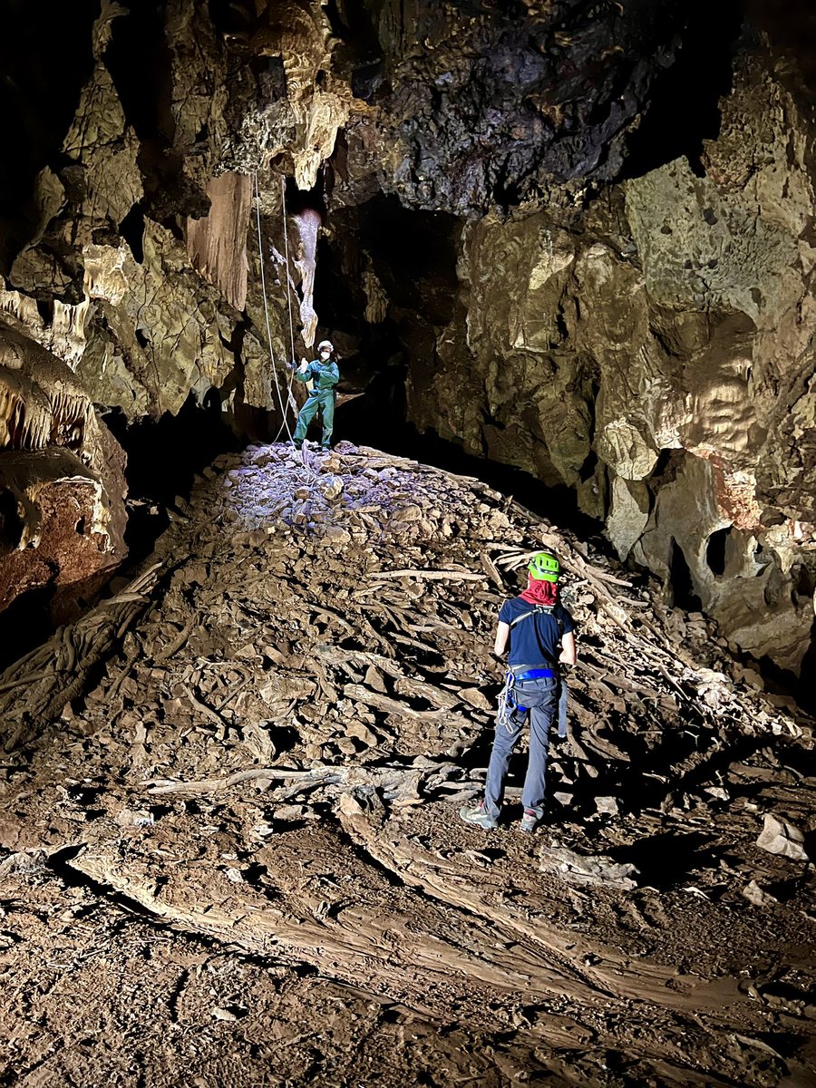 BruxellesLauren's tweet photo. Perfect talus cone shape with sediment sorting in #Lobatse caves #Botswana. It is an actual illustration of our 2019 #JHE paper about Little Foot member 2 in #Sterkfontein caves https://t.co/T9qVc1EBbB
#karst #archaeology #SouthAfrica @ifas @WitsArchaeology
@umr5608_traces @CNRS https://t.co/Juk30LX77m