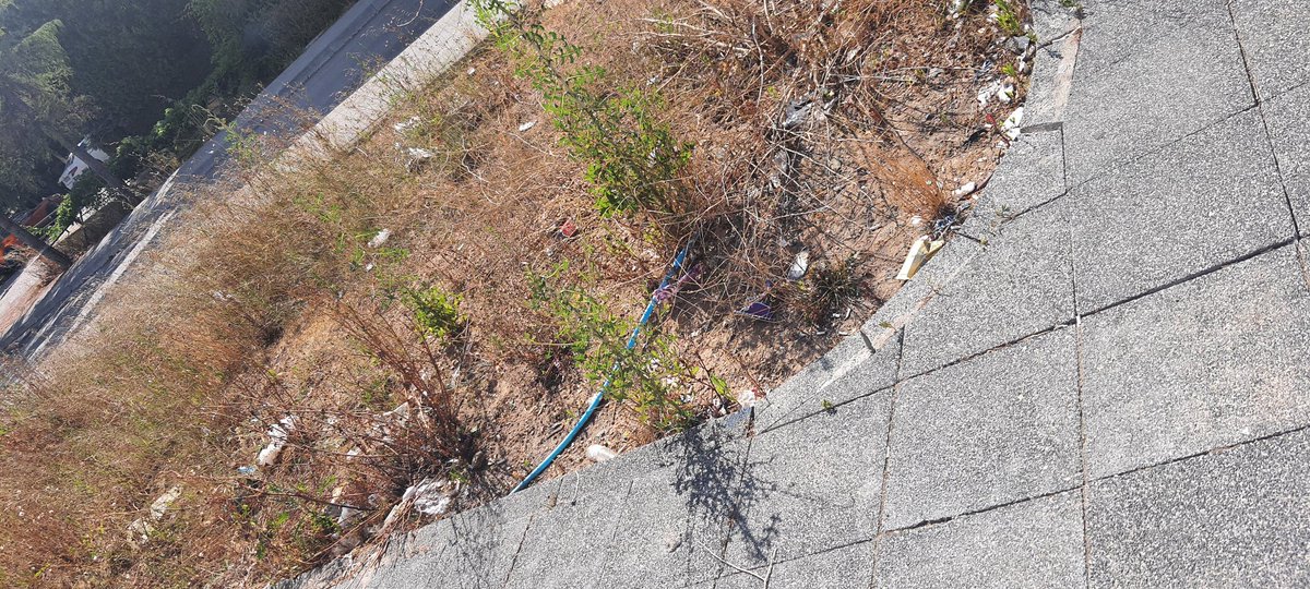 Sayın Ümraniye  ve IBB Belediyesi; aylardır metro çıkışı park ve çevresi bu pislikler içinde.  Temizlenmesi için lütfen🙏 Ümraniye Parseller Mah. Metro çıkışı