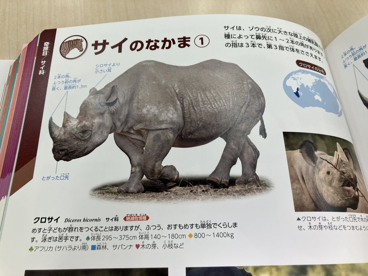 🐼動物新版のここ見て！➀ 写真のクオリティがすごすぎる！ 動物園では