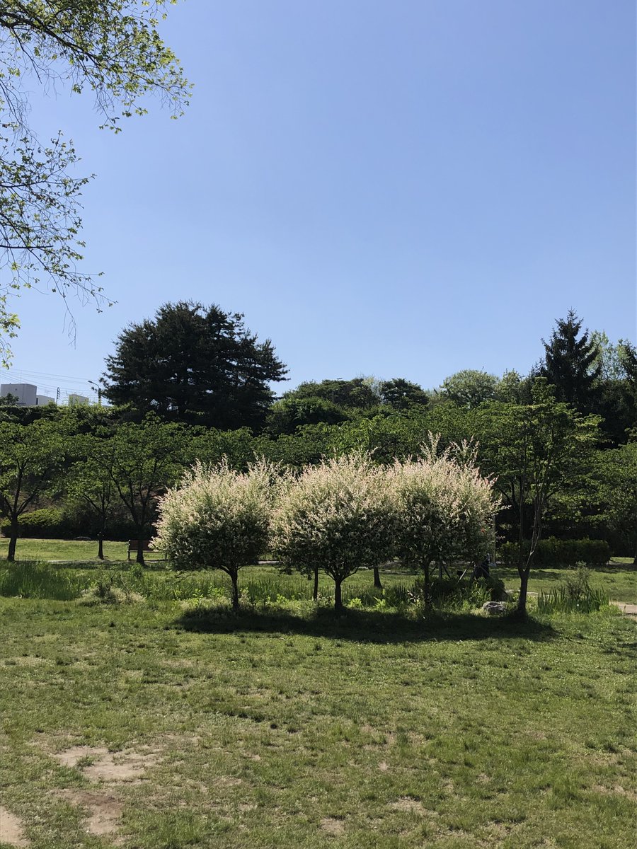 CooLs2331's tweet photo. 용산공원 말구 용산 가족공원 https://t.co/g8hvXS0nxF