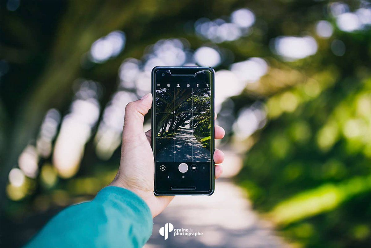 Graine de Photographe tweet media