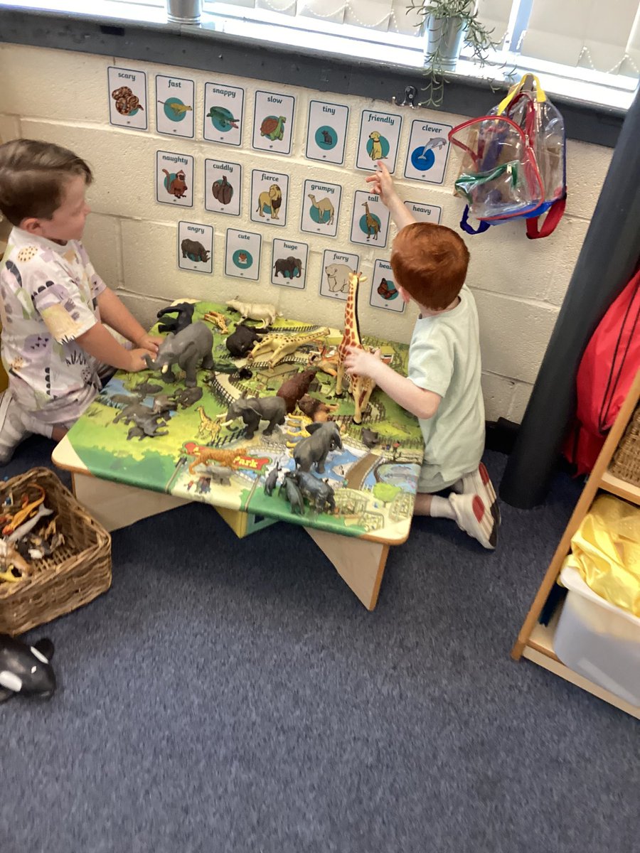 Butterfly Class tweet media