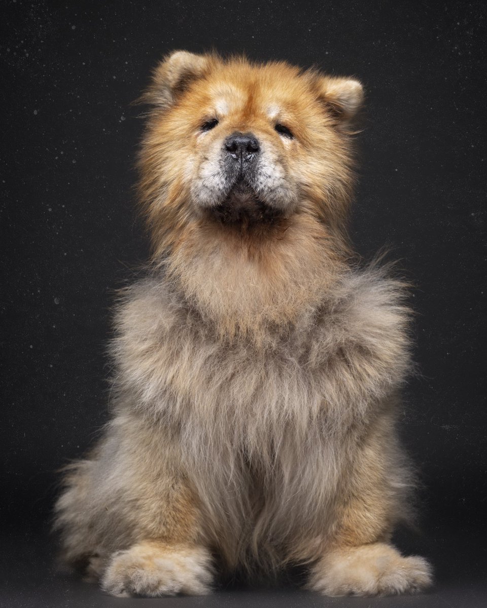 Obi y sus 14 añazos de amor.