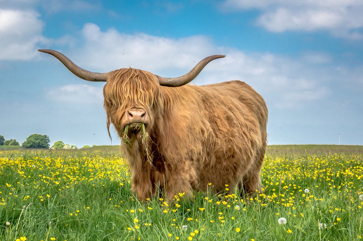 Cobalt's Capture a Moment Photography Competition is back for 2024! Submit your entries by July 31 to support their specialist nurse who helps teens &amp; young adults with cancer in Glos 📸 #CaptureAMoment2024  #SupportCancerCare #cobalt #photography 

wottondirectory.com/get-clicking-f…