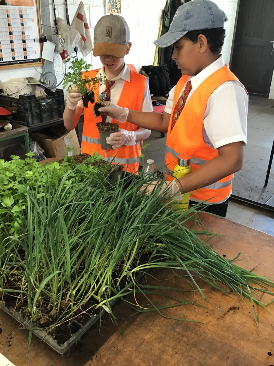 Norwich Road Academy tweet media