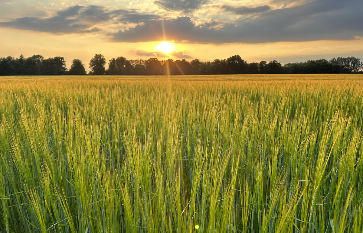 ⓟⓞⓟⓢ tweet media