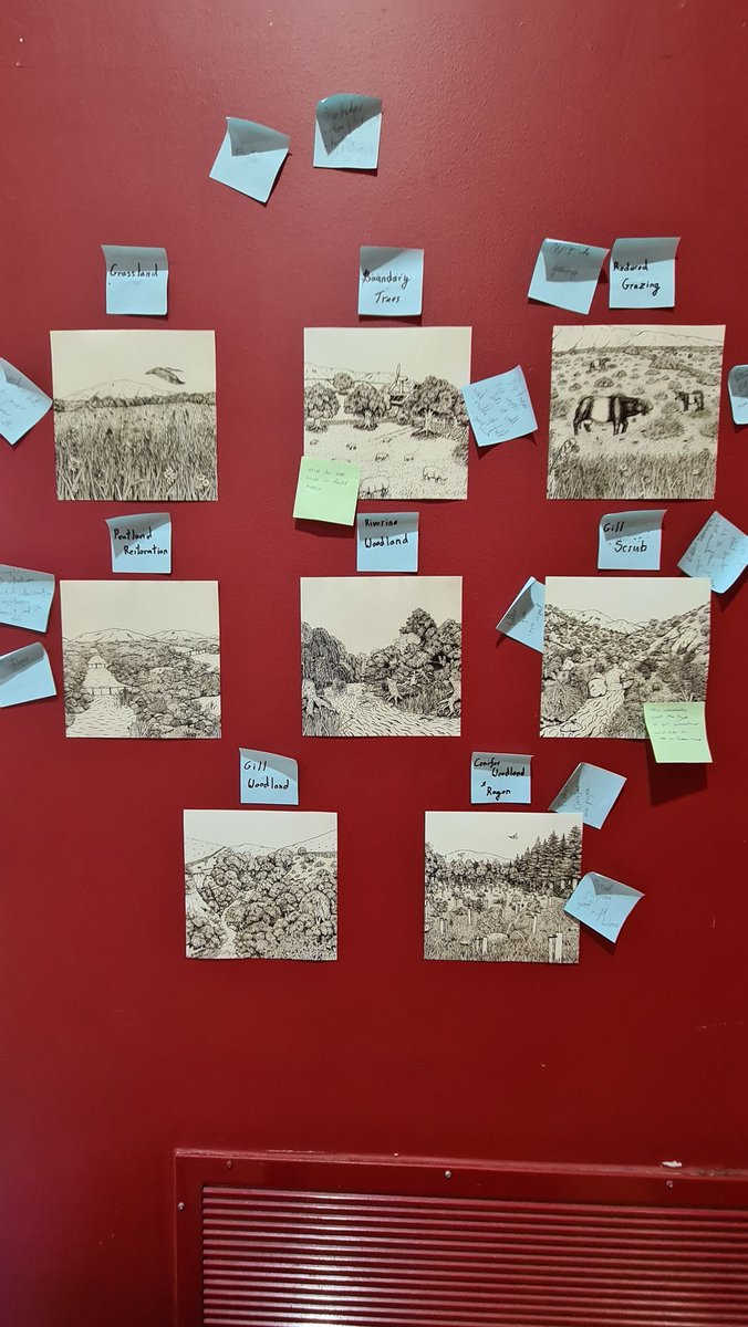 Euan Bowditch tweet media