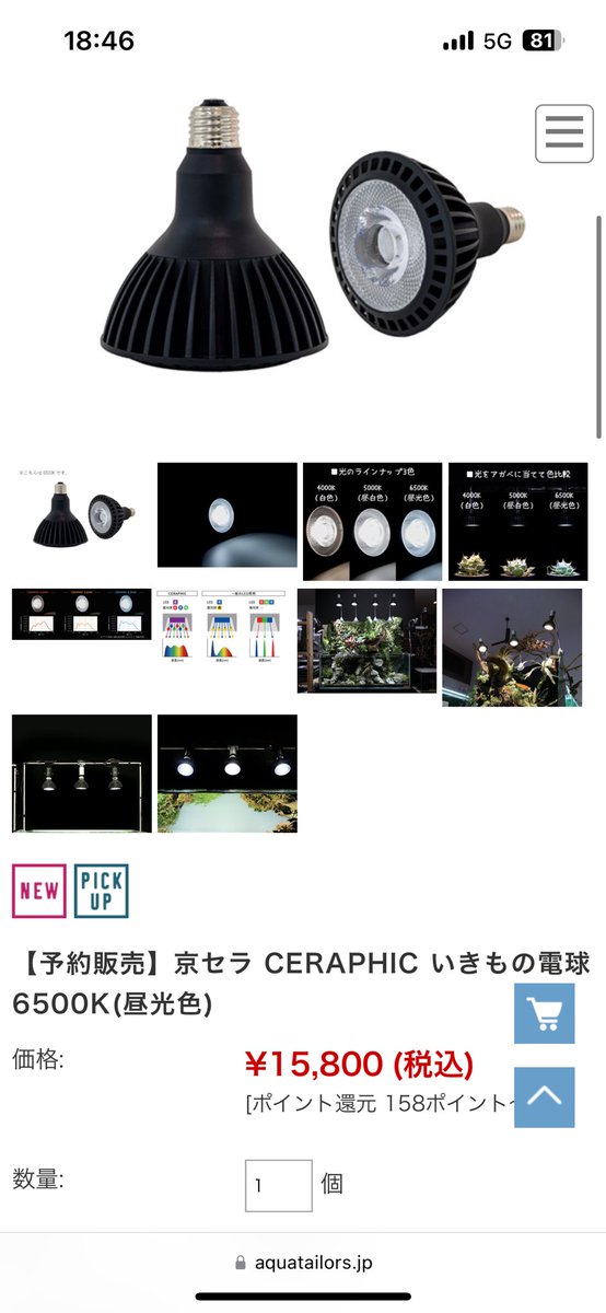 CERAPHIC いきもの電球 5000K 京セラ Amazon.co.jp: 京セラ CERAPHIC いきもの電球 5000K(昼白色