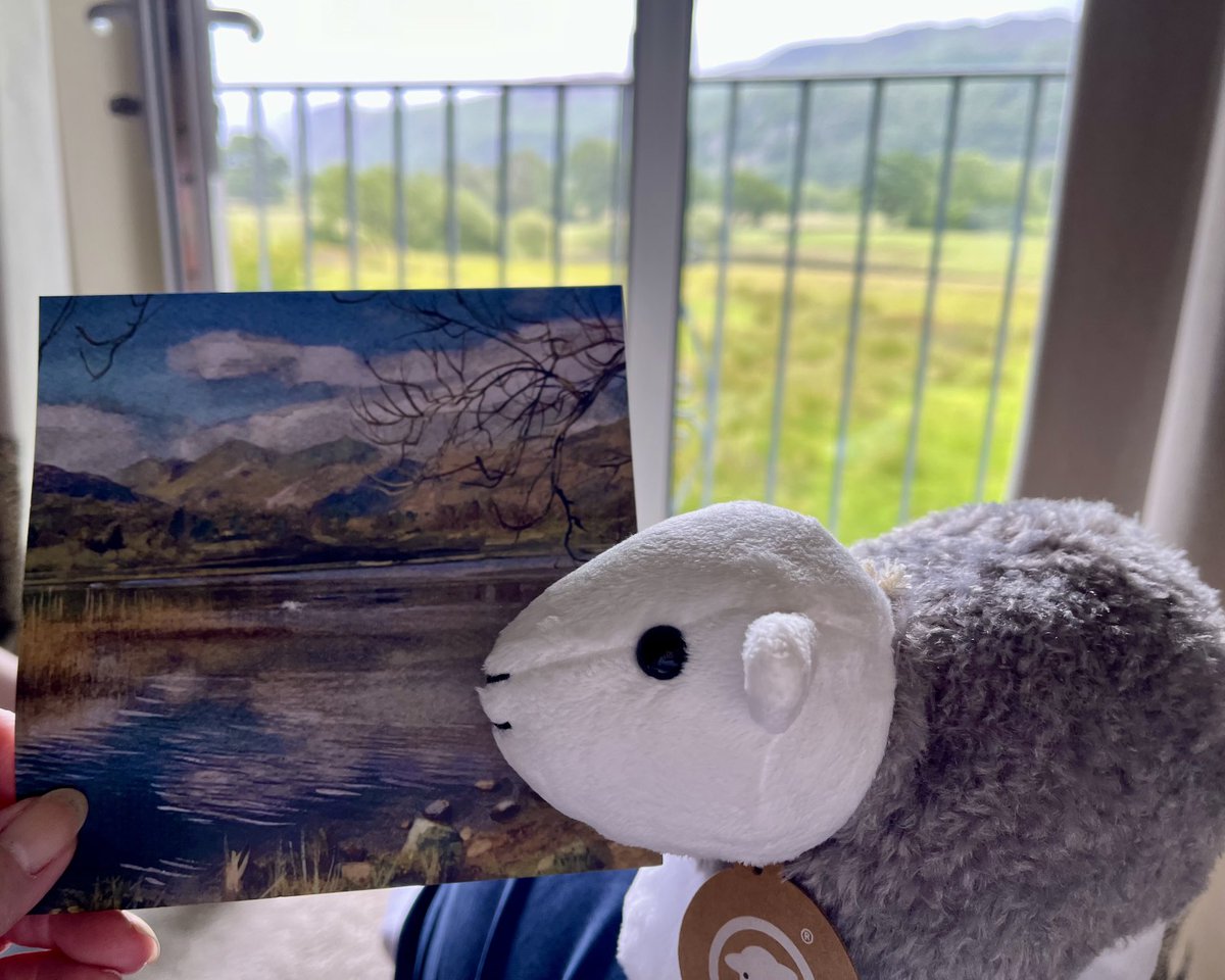Would you like a holiday postcard from me, with a message in Pitman Shorthand? Please message me. 🐑