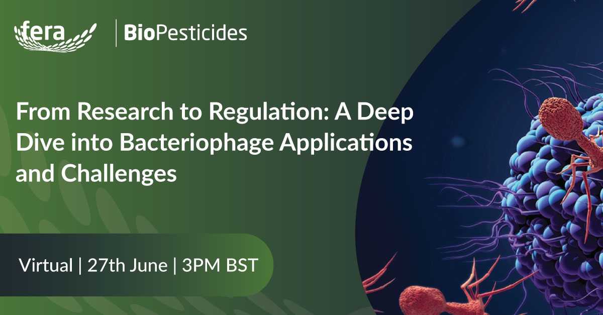 FeraScience's tweet image. 🌿 Fera Science Biopesticides Webinar Series - TODAY at 3PM BST

Don't miss out and register now!
🔗 hubs.ly/Q02CgXJK0

From Research to Regulation: A Deep Dive into Bacteriophage Applications and Challenges

#Bacteriophages #FeraScience