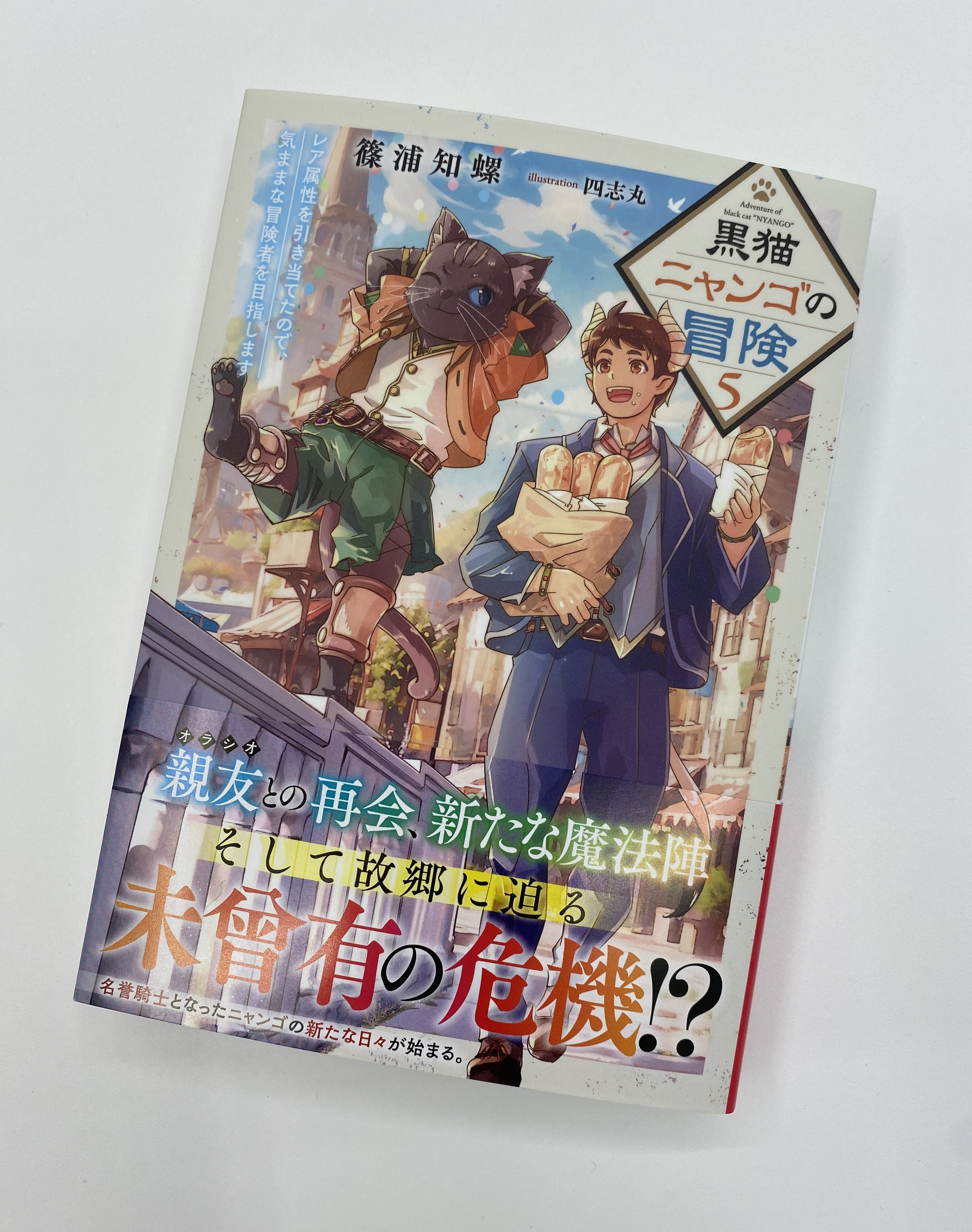 説明必読 ネコポス発送条件あり ノベル 庶民勇者は廃棄されまし