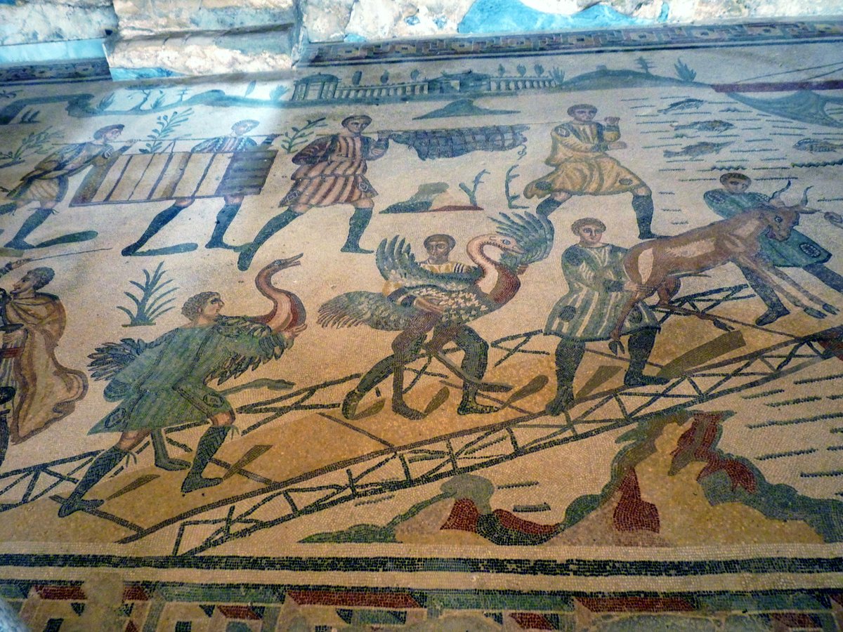 Theoretical Roman Archaeology Journal (@traj_journal) on Twitter photo Ever wondered how the Romans managed to capture and move wild animals across the Empire for public spectacles?
NEW in #TRAJ, 'Exotics for Entertainment: A Reconstruction of the Roman Exotic Beast Trade (First to Third Centuries AD)' by <a href="/JordonHouston93/">Jordon Houston</a>
doi.org/10.16995/traj.… Ever wondered how the Romans managed to capture and move wild animals across the Empire for public spectacles?
NEW in #TRAJ, 'Exotics for Entertainment: A Reconstruction of the Roman Exotic Beast Trade (First to Third Centuries AD)' by <a href="/JordonHouston93/">Jordon Houston</a>
doi.org/10.16995/traj.…