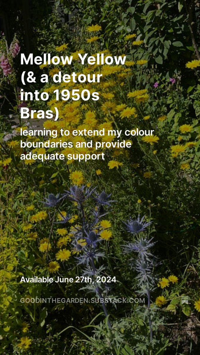 jane davis tweet media