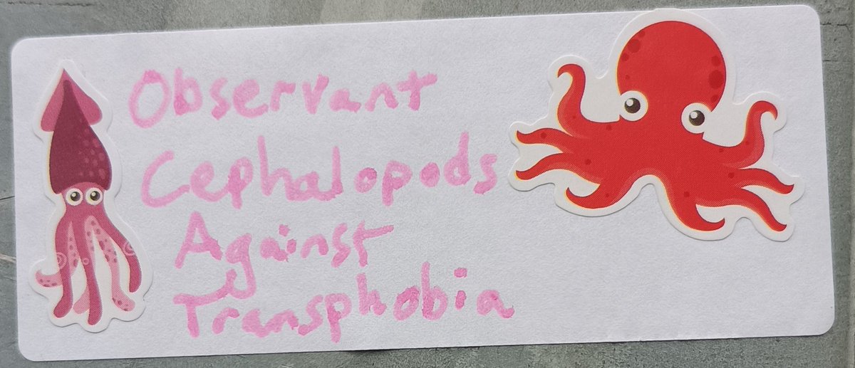 Dublin Stickers Against Transphobia tweet media