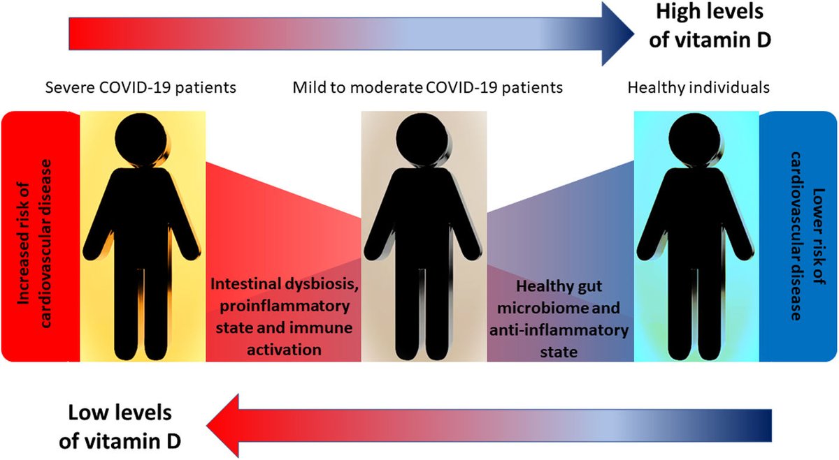 Vitamin D3 supplementation in COVID-19 patients with cardiovascular disease and gut dysbiosis. elsevier.es/es-revista-hip…