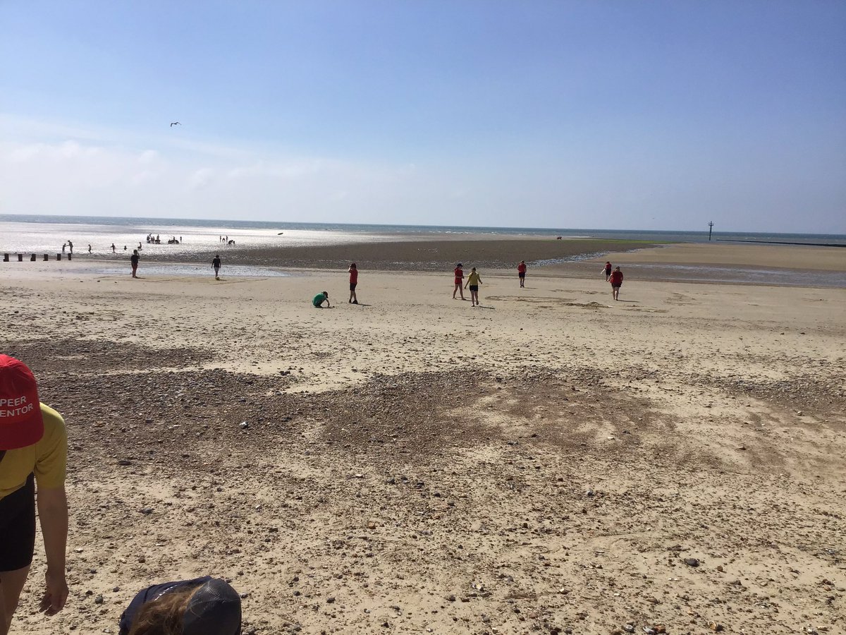 LyminsterEvents tweet media