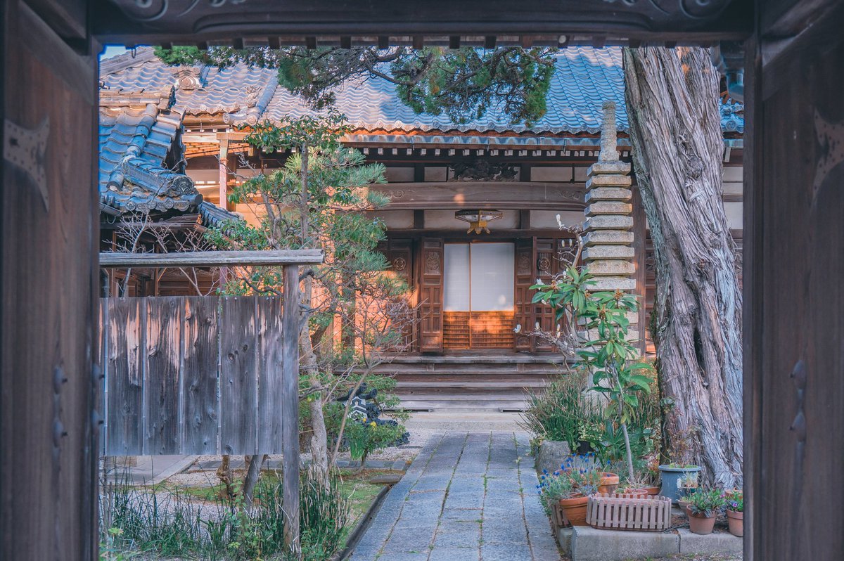 akinecoco987's tweet photo. Night in Japan. https://t.co/WRm2dGYyrk