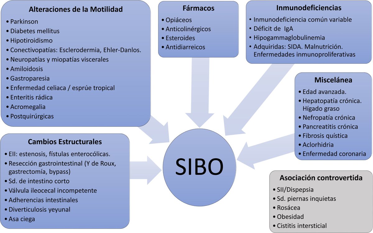 Preguntas comunes y respuestas razonadas sobre el síndrome del sobrecrecimiento bacteriano intestinal (SIBO). elsevier.es/es-revista-gas…