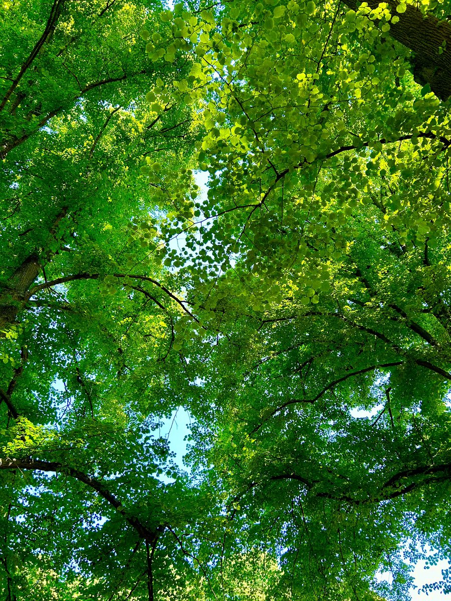 photocrazy tweet media