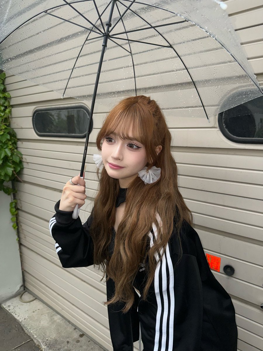 雨の日は何か変わる日だよ知らんけど