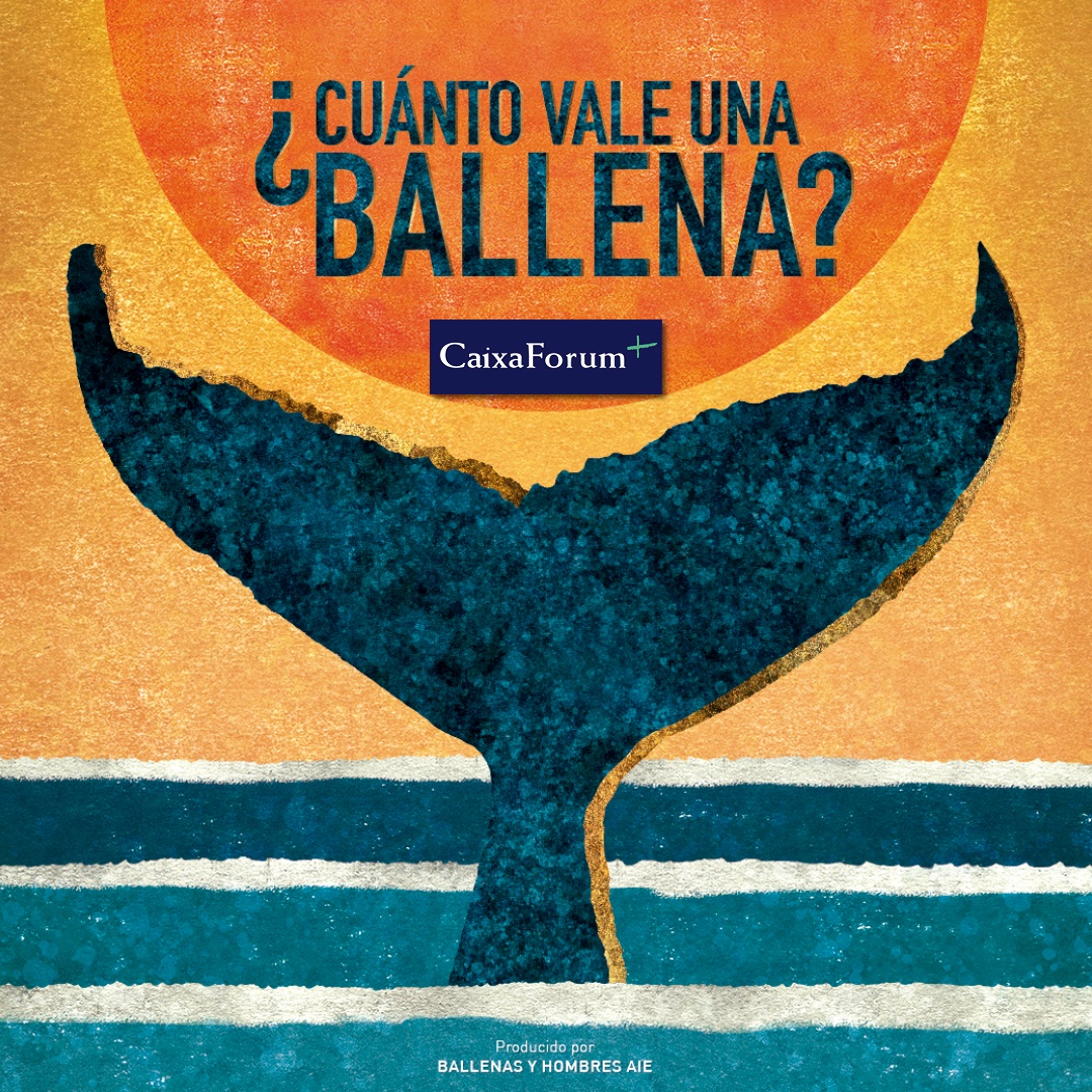 ¡Gran noticia! Estamos muy felices de anunciar que nuestro documental ¿Cuánto Vale Una Ballena? 🐋 ya está disponible, de forma gratuita, en la plataforma En #CaixaForumPlus @caixaforum gracias al <a href="/suncinefest/">🔆 SUNCINE</a> y a @mosaicofilmes 🎥 ¿A qué esperas para verlo? ✨