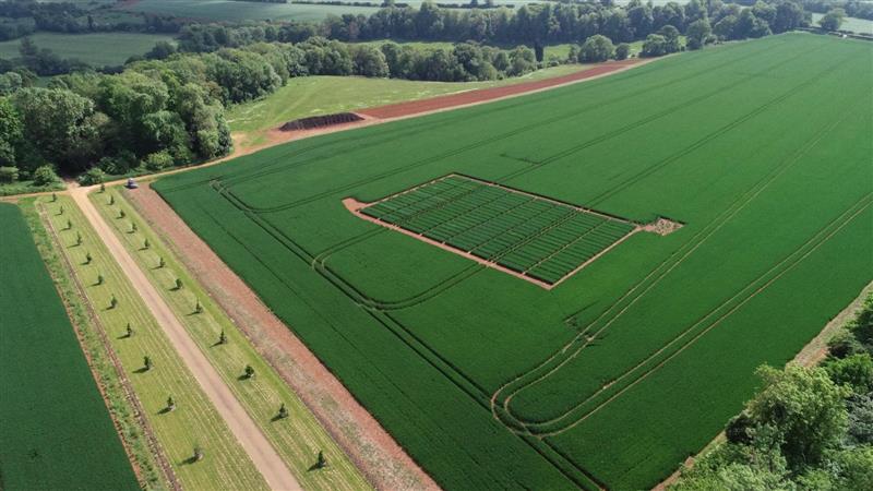 Don't miss out on our next #RealResultsLive Demo day tomorrow at Great Tew, Oxfordshire 🥳

Check out our:
Winter wheat variety tour led by industry experts ✅
#Luximo weed control demo stand ✅
Winter wheat fungicides trial tour ✅

Register here ➡️ t.ly/great.tew.demo…