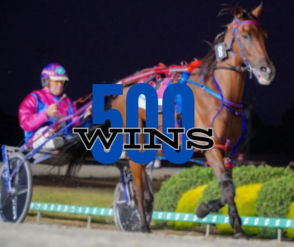 CranHarness's tweet photo. 5️⃣0️⃣0️⃣WINS https://t.co/LzVvm0h3Zc