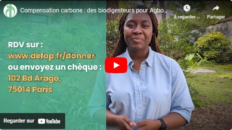 Au menu de la newsletter du Défap : des nouvelles du projet "compensation carbone" (déjà un tiers du montant atteint, on compte sur vous pour la suite !), dans les starting-blocks pour la formation des futurs envoyés, les 10 ans de la Lettre du Défap...
newsletters.yapla.fr/static/n/nFfHP…