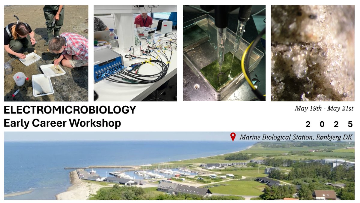 SAVE THE DATE! 📅 Join us at the Electromicrobiology Conference 2025, May 21-23 at Helnan Marselis Hotel (Aarhus). Don't miss the Early Career Workshop, May 19-21 at Rønbjerg’s Marine Biological Station. Stay tuned for updates on our webpage! conferences.au.dk/electromicrobi…  #EM2025