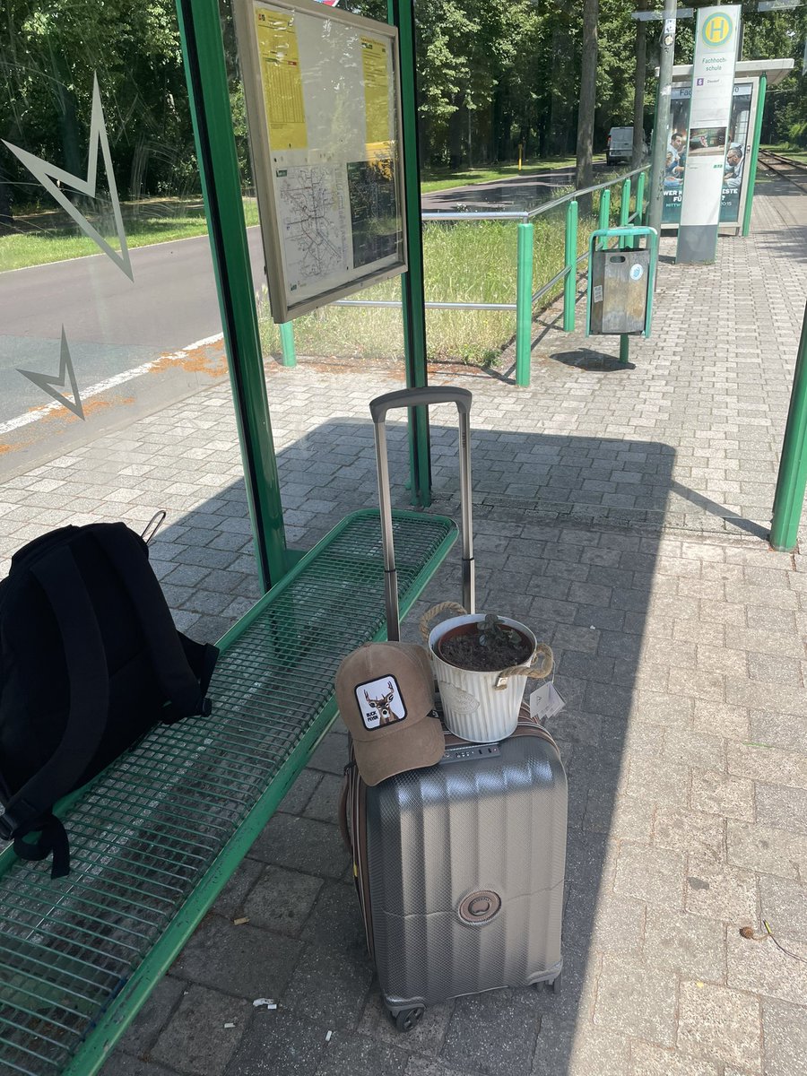 پوکوهانتس tweet media