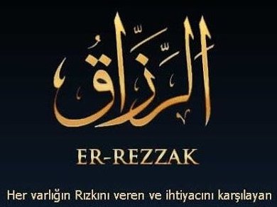“Ne karınca zayıf olduğu için aç kalır. Ne de aslan pençesinin zoruyla karnını doyurur. Rızık sadece Allah'a aittir.”