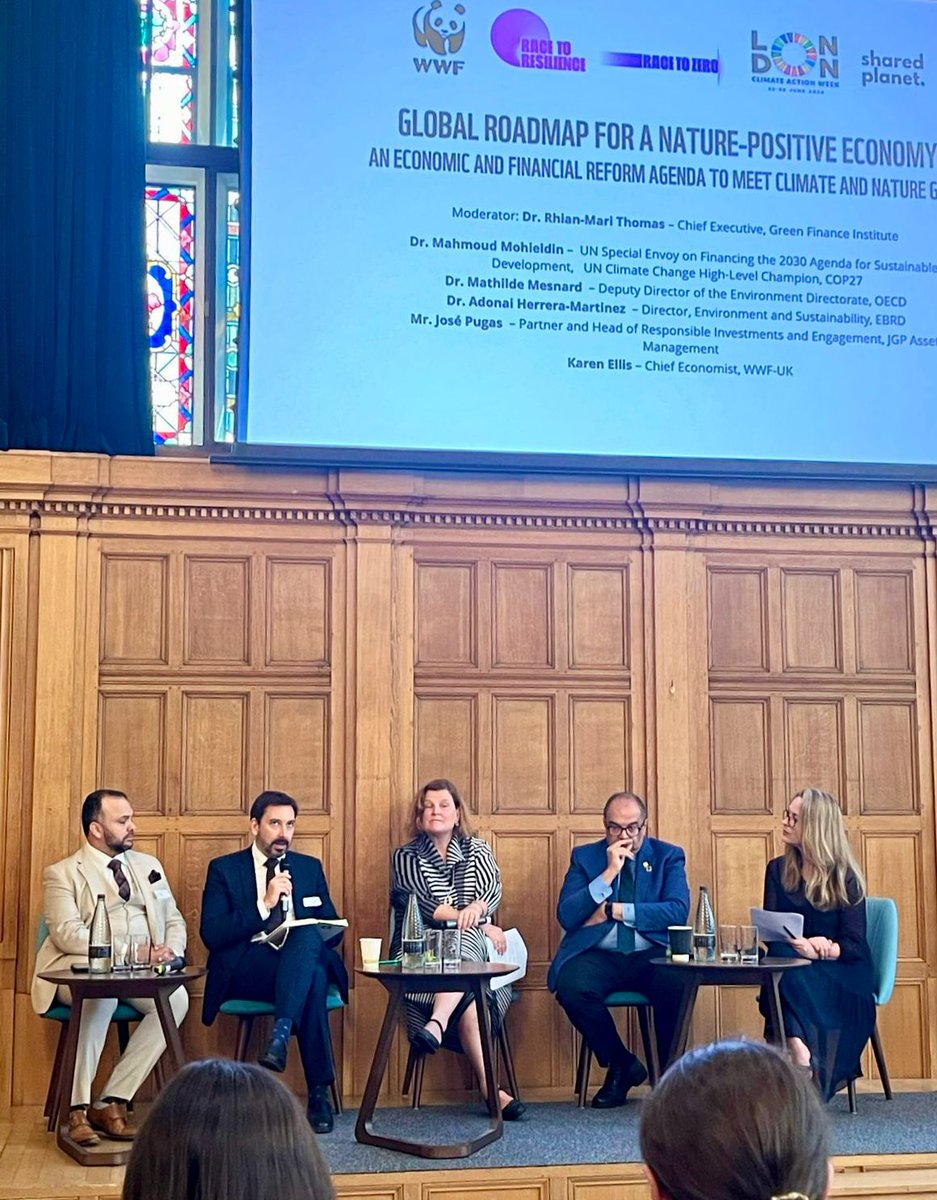 EBRDgreen's tweet photo. At #LondonClimateActionWeek, our Director of Environment &amp; Sustainability @AdonaiHM, spoke at the panel hosted by @wwf_uk, @UNFCCC Climate Champions &amp; @wef. 

Adonai discussed global reform agenda, stressed the crucial role of MDBs in transitioning to a nature-positive economy. https://t.co/VpPXzrmtVL