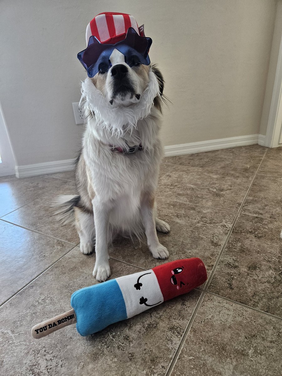 VoteBlu4animals's tweet photo. #dogsforBiden
Debate Day is here! Who's watching with their dogs? https://t.co/FU7oAOj86k