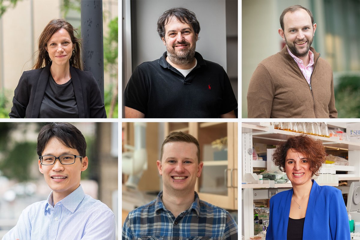 BU Experts (@buexperts) on Twitter photo Congratulations to the 6ļøā£ <a href="/BU_Tweets/">Boston University</a> researchers awarded <a href="/NSF/">U.S. National Science Foundation</a> CAREER grants for their groundbreaking work in engineering, AI, molecular biology, & beyond. Their commitment to advancing science and cultivating future leaders sets a remarkable standard.
ā”ļø spr.ly/6003gvmZX Congratulations to the 6ļøā£ <a href="/BU_Tweets/">Boston University</a> researchers awarded <a href="/NSF/">U.S. National Science Foundation</a> CAREER grants for their groundbreaking work in engineering, AI, molecular biology, & beyond. Their commitment to advancing science and cultivating future leaders sets a remarkable standard.
ā”ļø spr.ly/6003gvmZX