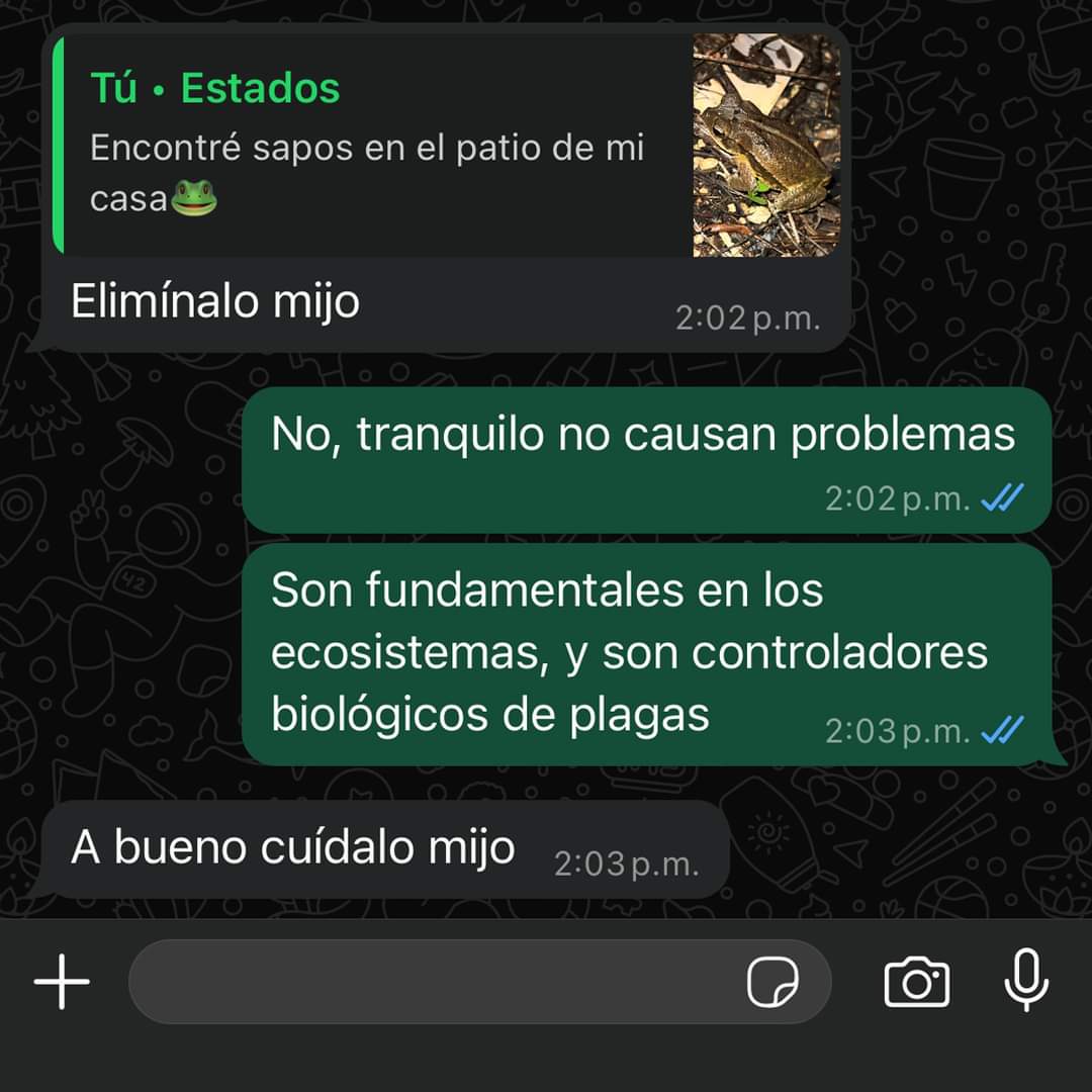 ShitpostRandom's tweet photo. Desarrollo de personaje https://t.co/9ttqDI06v8