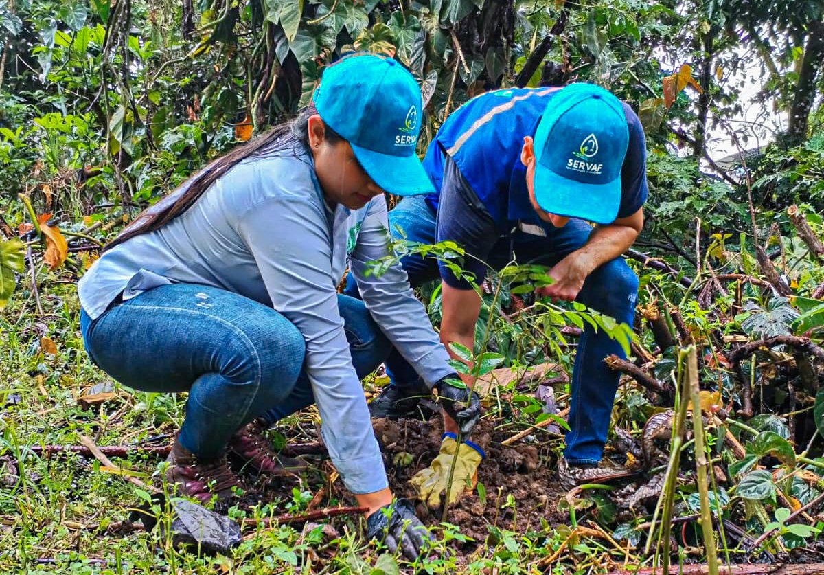 Servaf_sa_esp's tweet photo. En el #Díainternacional de la #preservacióndelosbosquestropicales, hicimos #siembradeárboles en #VillaNatalia. Trabajo articulado entre #SecretaríadeAmbiente Municipal, #DesminadoHumanitario y #SERVAF, para beneficio de todos los #florencianos. https://t.co/UZ7YPvsvHO