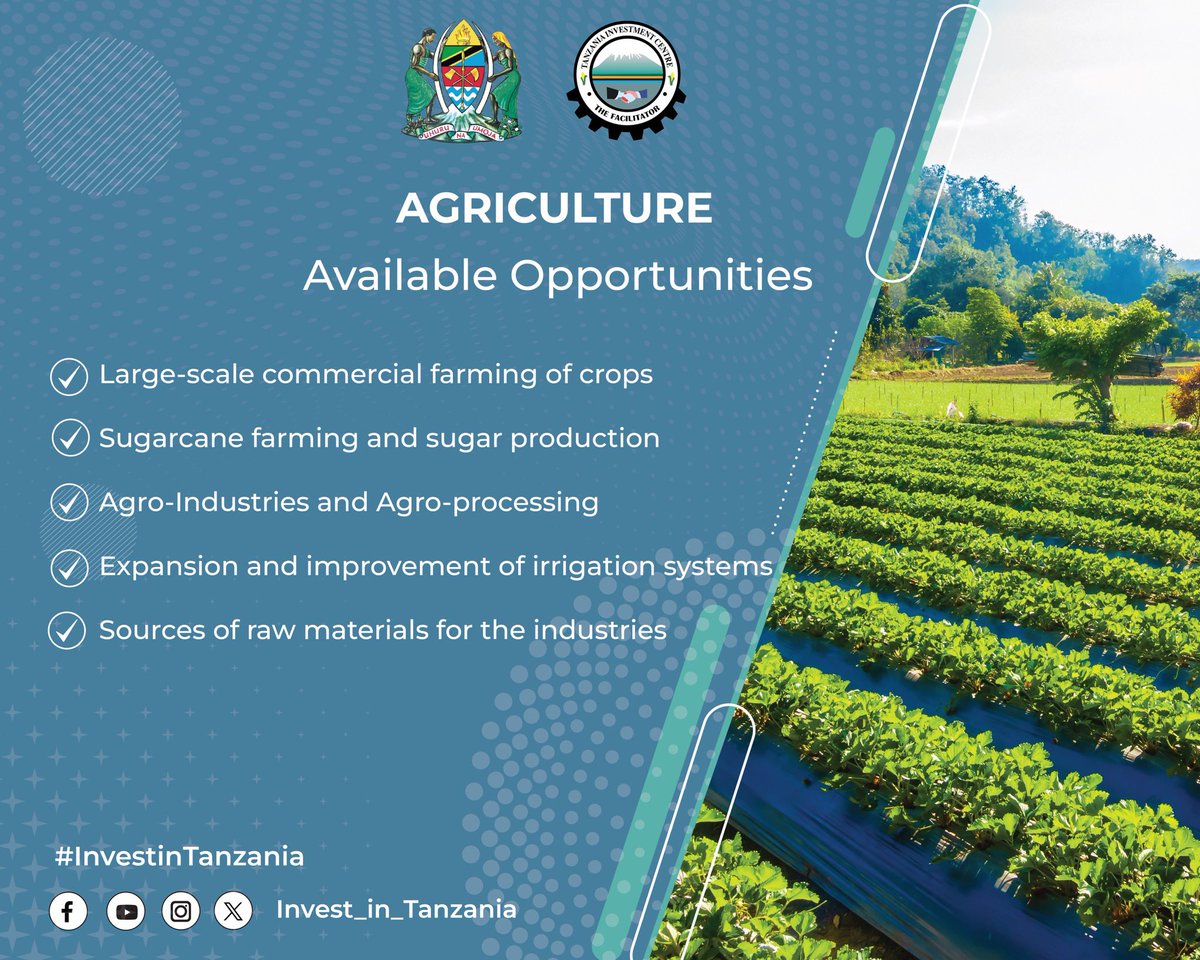 Agriculture opportunities available in Tanzania, you can visit the <a href="/InvestTanzania/">Tanzania Investment & Special Zones Authority</a> website at tic.go.tz .The site provides details on investment opportunities, including those in the agriculture sector, and offers resources for investors.
#Invest_in_Tanzania