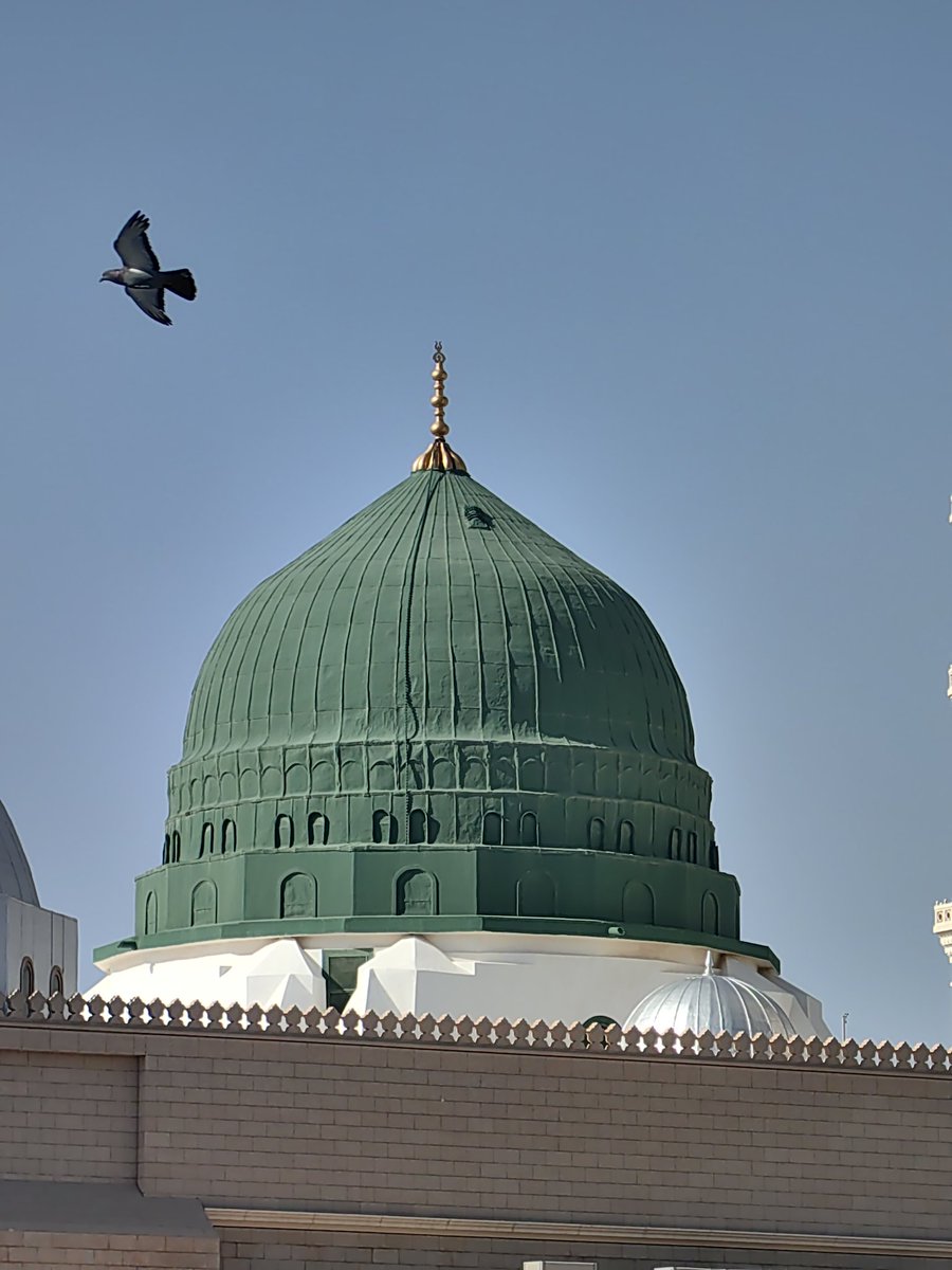 I would do anything to be back in Medina right now 💚😭