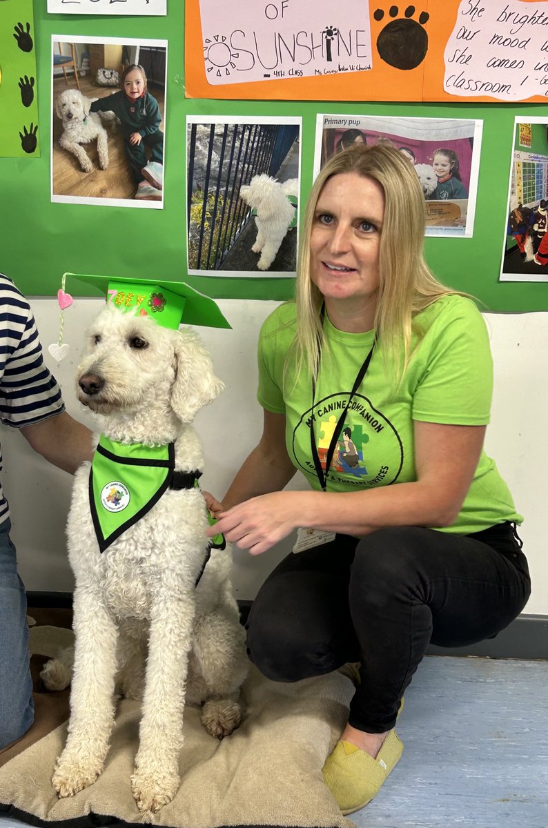 Glasheen Girls Ms.Sparling (@mssparling4th) on Twitter photo Happy graduation to our gorgeous therapy dog Zoe <a href="/GlasheenGNS/">Glasheen Girls NS</a> <a href="/mycaninecompani/">My Canine Companion</a> 👏👏👏 Happy graduation to our gorgeous therapy dog Zoe <a href="/GlasheenGNS/">Glasheen Girls NS</a> <a href="/mycaninecompani/">My Canine Companion</a> 👏👏👏