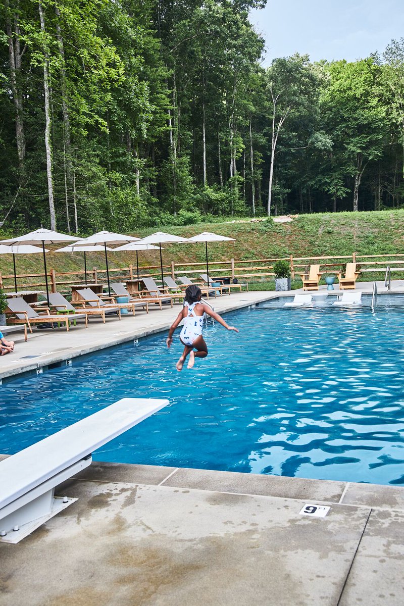 Blackberry Mountain tweet media