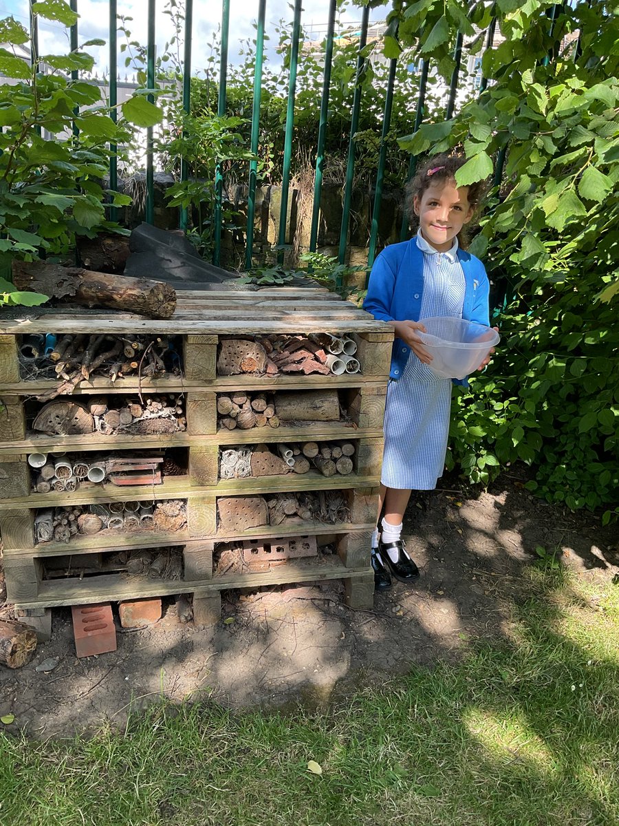 DimpleWell54's tweet image. We have been kind to the neighbour whose objects got blown from her house into our school garden. It’s not everyday you find a teapot on the trim trail and shampoo in the shelter!!! This has inspired us to write about what we found!! #englishDWS #class4 #usingourimagination