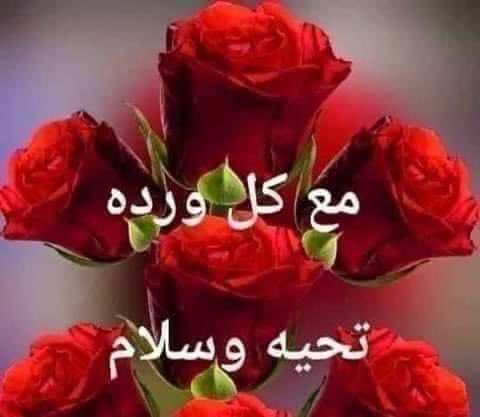 AlhwitiZayed's tweet photo. @kamelbslfj @fhf140 @jji1jj @8vxaa @jrzn_yh @KwGgg6 @TATHAD7 @AboAli503_ @sanaa48203 @aljwhry89038 @MajdMry77995 @BdhDghsan48711 @abdalqwy_alyman @DmasoRodrguez6 https://t.co/RSdhr0KpaN