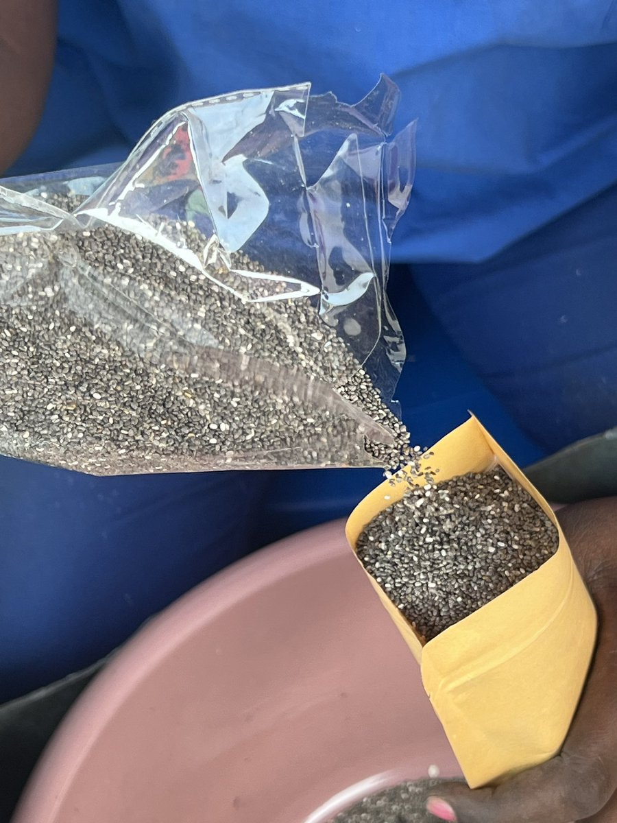 Graines de Chia… disponible