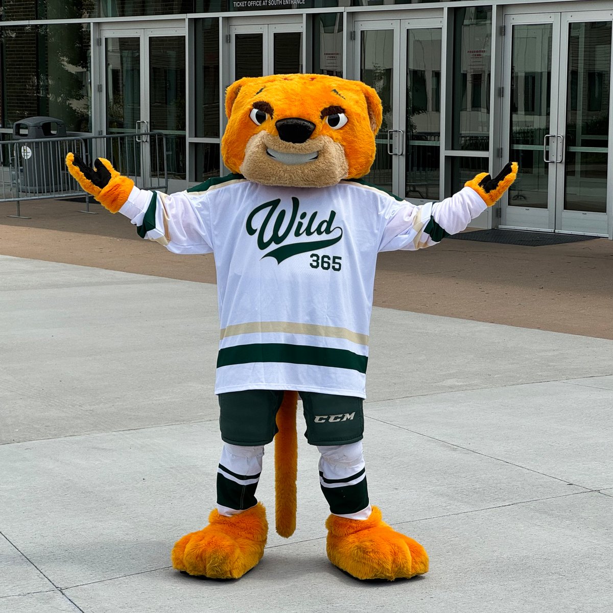 Iowa Wild tweet media
